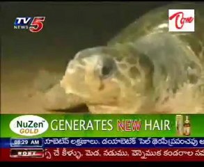 TV5 News @ 08AM 07th March 2010