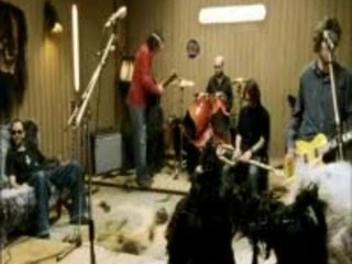 Super Furry Animals - Golden Retriever