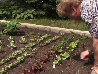 Romney's health care law, now a political liability