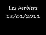 les herbiers