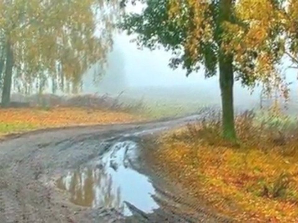 Ahmet Kaya _Demedim mi Haydar_