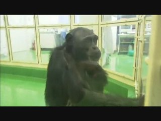 Ep 05/06 Evoluer pour Survivre-Part 3sur3