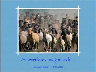 Yusuf Hayaloğlu "Ah Ulan Rıza"