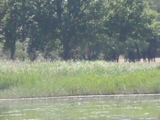 Loches.  Retrouvailles  2011