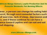African Mango Extract  Weight Loss