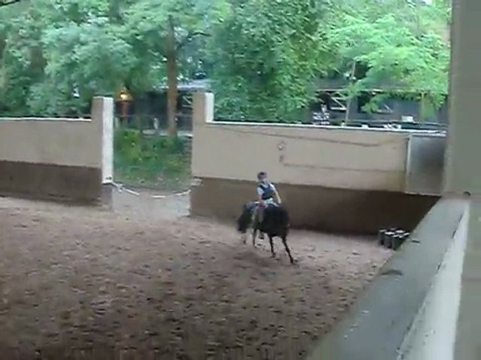 GALOP/PASTILLE