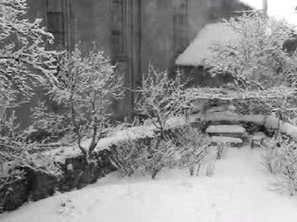 Neige