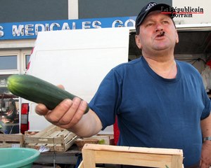 Crise du concombre : les maraîchers voient rouge