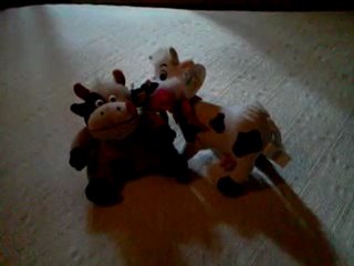 Les deux vaches Mission 13