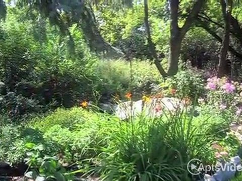 Fox Forest Townhomes in Plymouth, MN - ForRent.com