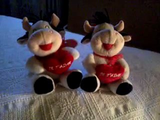 Les deux vaches Mission 20