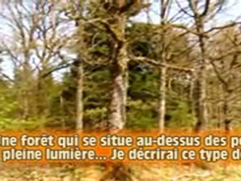 alouwette ail basse qualt