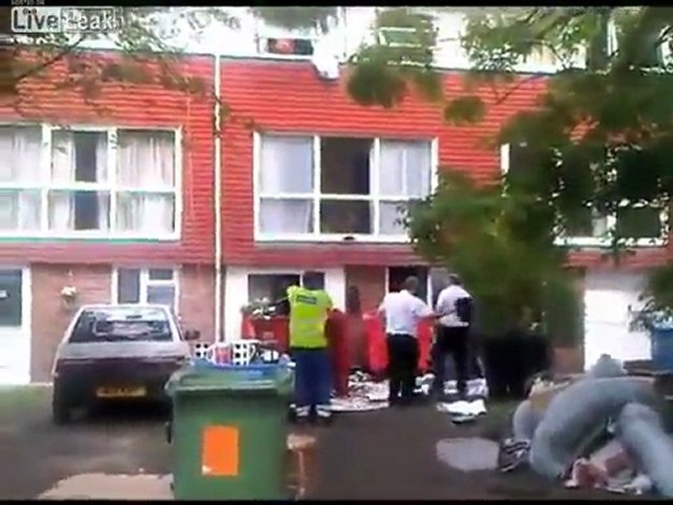 Wow Flying Cannabispflanzen.