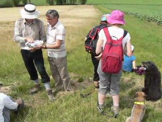 Mûrs, durs, noirs ou barbus ?