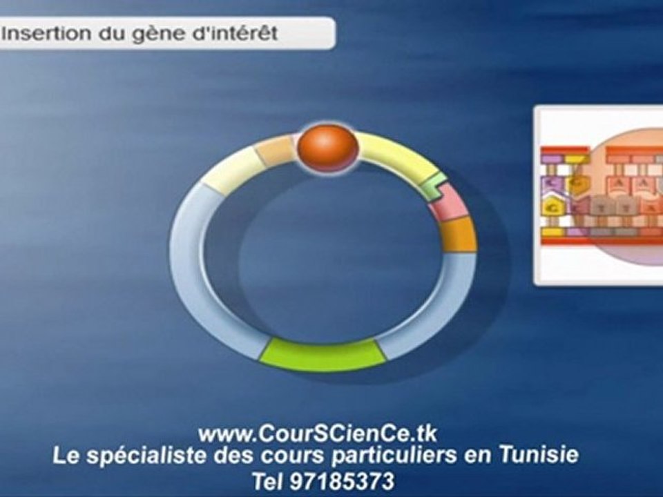 clonage d'un gene