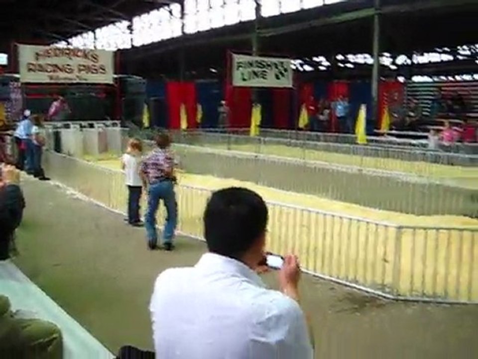Piglet race !!! Amazing...