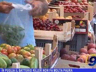 In Puglia il batterio killer non fa molta paura