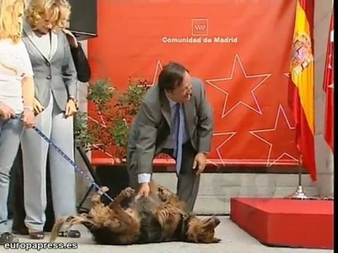 Los sindicatos quieren huelga contra Aguirre