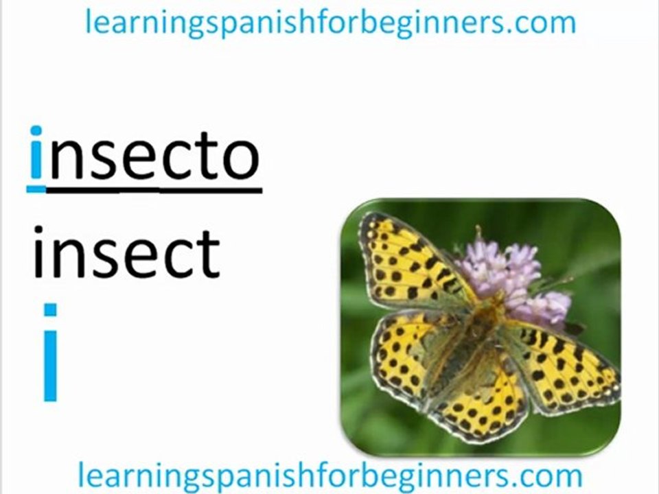 Learning Spanish for Beginners - Spanish Vowels
