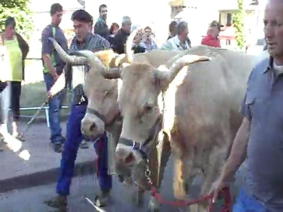 20ème fête de l'estive à Allanche (2ème partie)