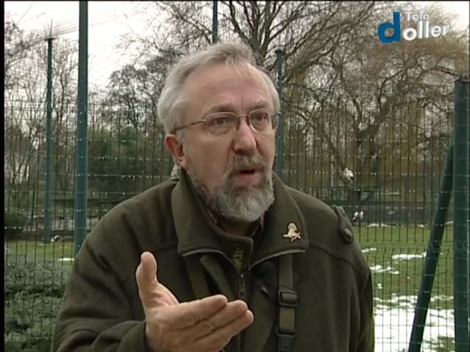 Sentheim labellisé "Village Cigogne d'Alsace"