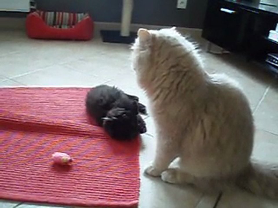 Les hormones commencent à travailler lol