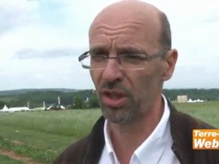 Système fourrager - Olivier Estrade (Barenbrug) : « 60 jours après l’implantation, l’éleveur peut exploiter le sorgho »