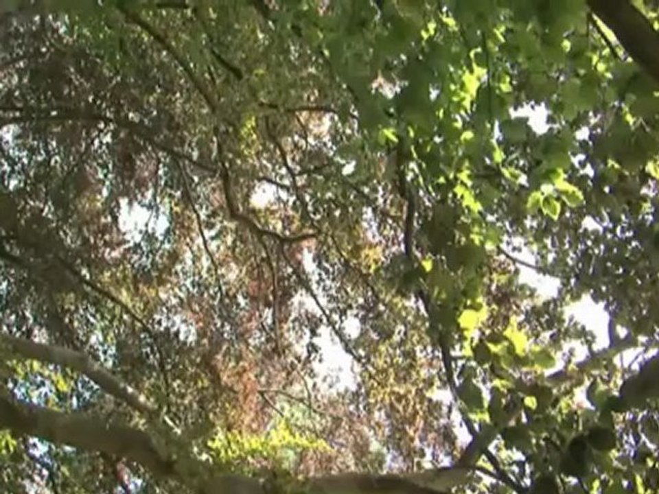 Le Parc Culturel de Rentilly (Seine-et-Marne)