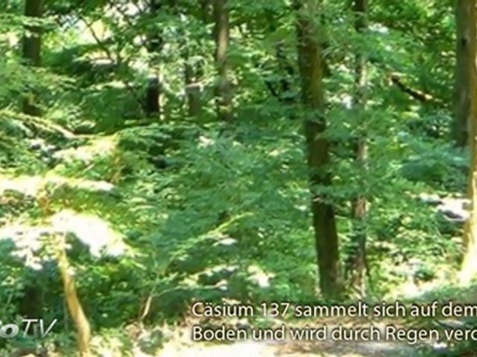 Was passierte wirklich in fukushima?