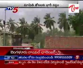 Heavy rains in west Godavari district