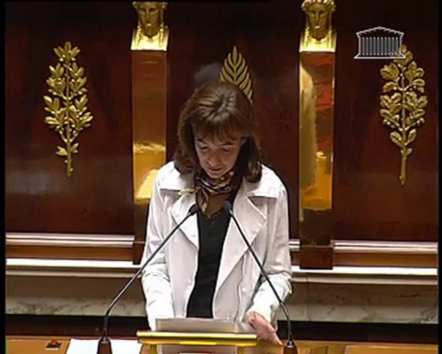 Habitat informel et lutte contre l'habitat indigne en Outre-mer