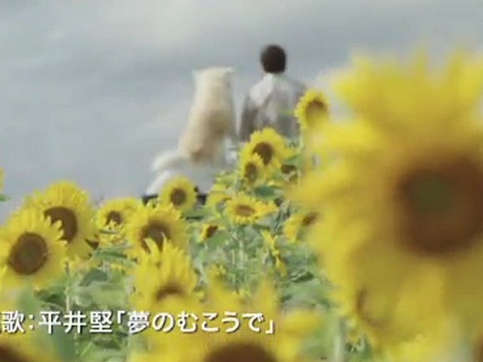 『星守る犬』　予告編