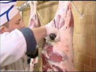 Kurban Nasıl Kesilir (Dini Paylaşım) Mumsema.com
