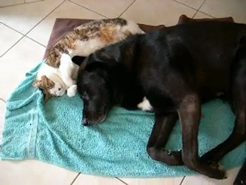 Lulu et Mimine