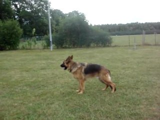 Entrainement Charly 001