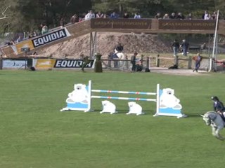 Qualou des Muses Grand Prix inter du Syndicat Linaro BIP fontainebleau 7ans