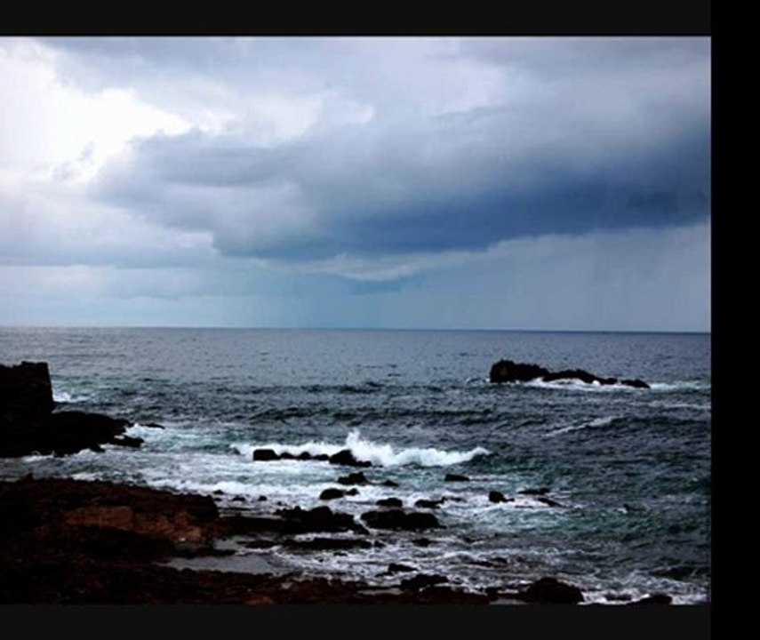 TOUS LES CRIS LES SOS