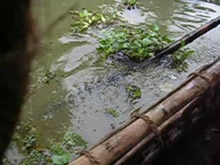 Backwaters a Cochin