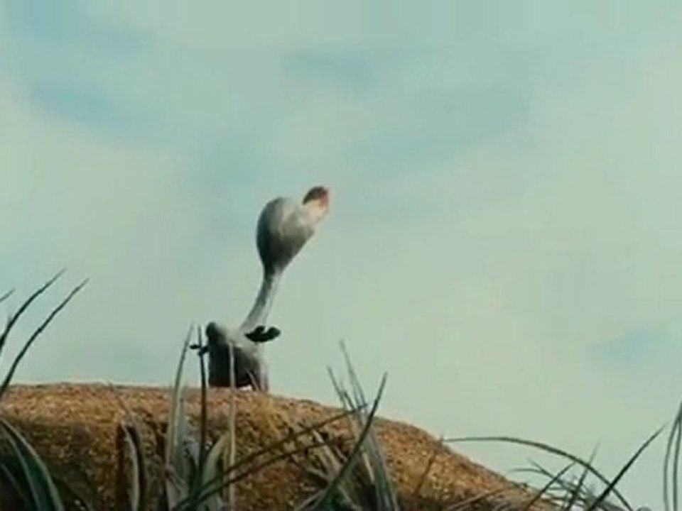 Le vilain petit canard - Extrait #1 [HQ]