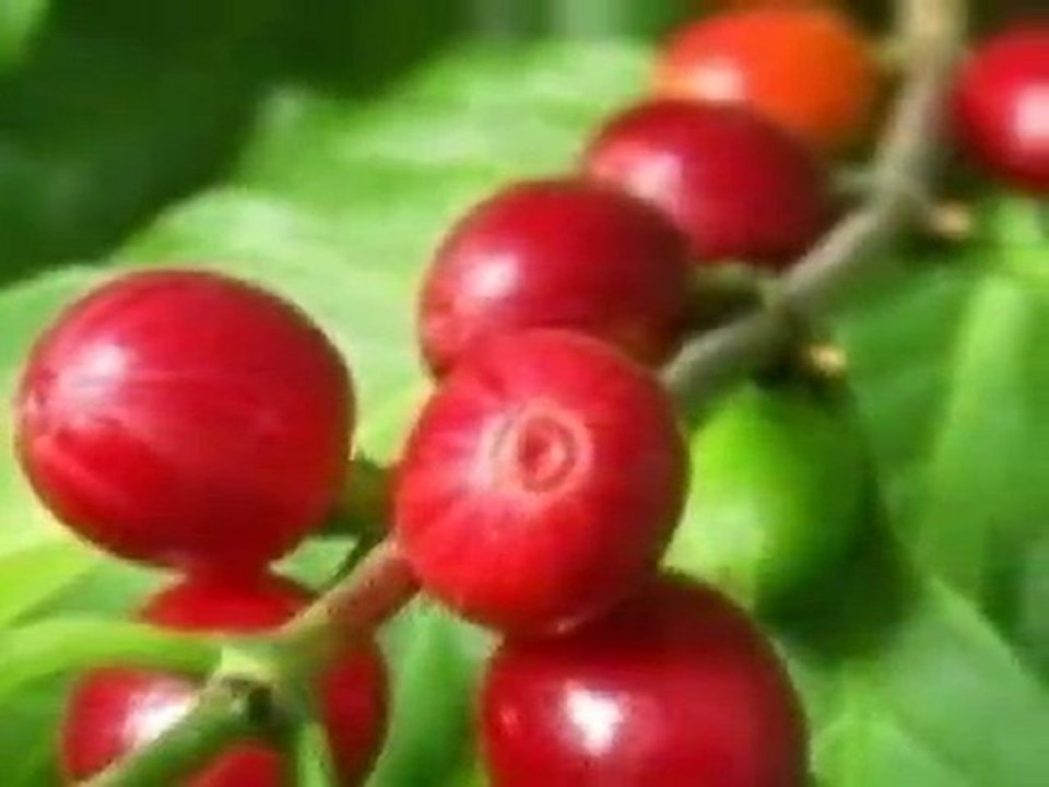 Beach-Property for Sale, Panama