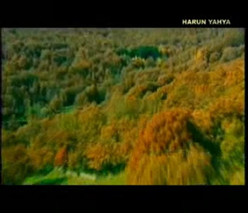 Müslümanların Hz. Musa ve Hz. İsa'ya olan sevgileri