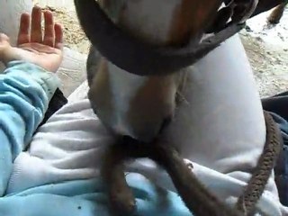 une journée sous la pluie ca donne ca X)