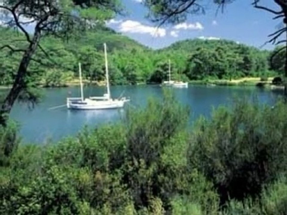 canimin ta icisin sen