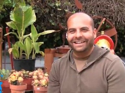 Aerosol Arts - Paint Our Town 2011 Echo Park Los Angeles CA.