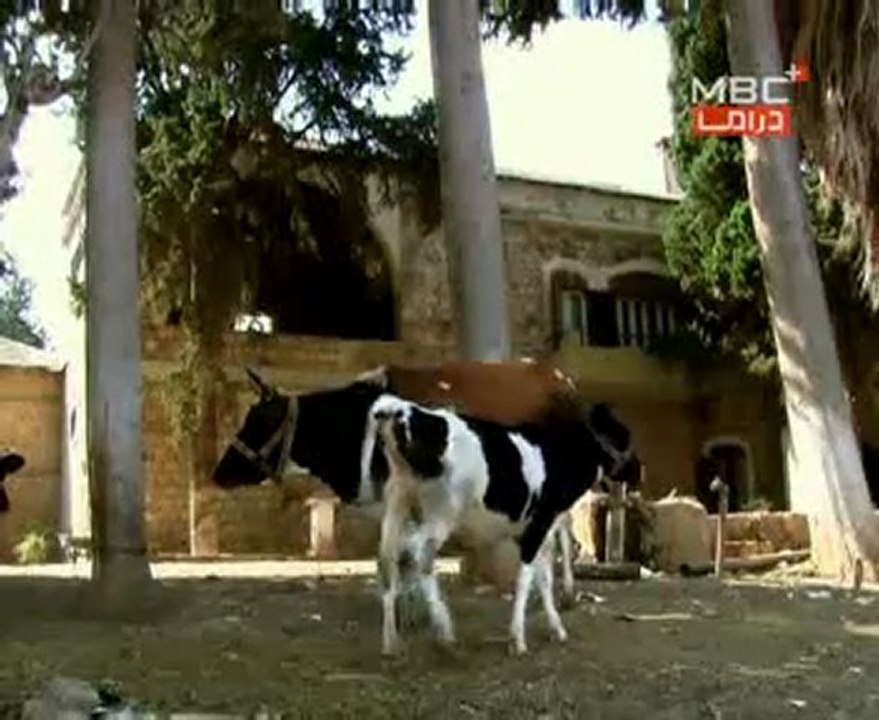 عاصي الحلقة 3