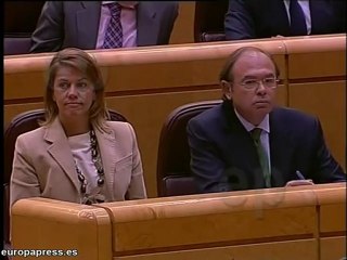 Senado rechaza los toros como bien cultural