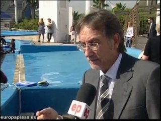 Delfinoterapia, posible cura a problemas cerebrales