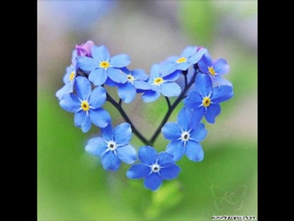 Gökhan Tepe Azıcık Aşk -N