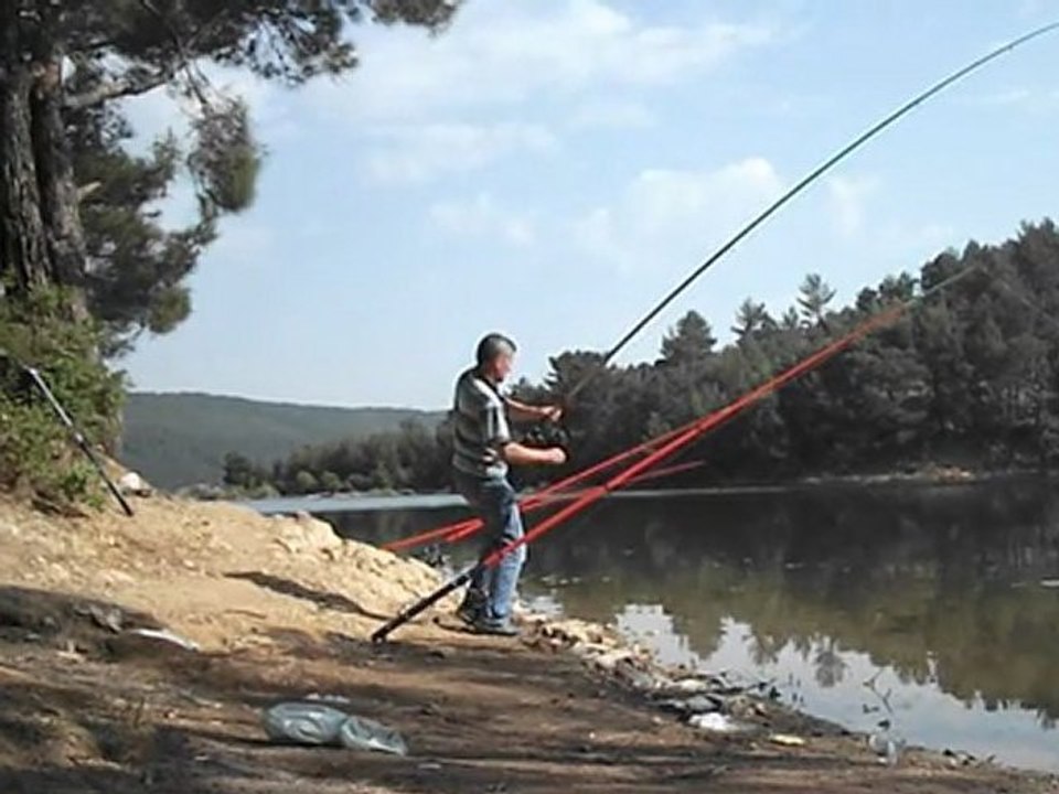 DSCF0363