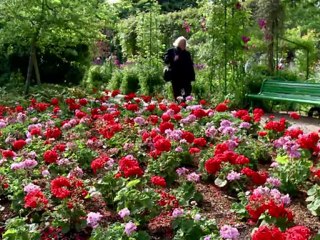 Meet the Merseysider in charge of Monet's garden